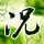 一比一原版堪萨斯大学毕业证【degxx.com】